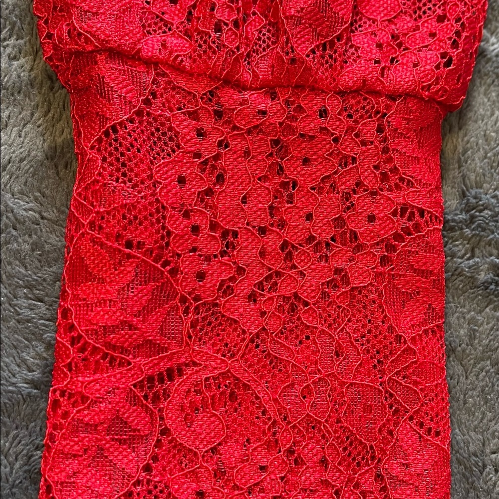 Red Laced Mesh Top - Picture 5 of 6